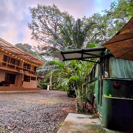 Cool Waters Jungle Villas Uvita Exterior photo