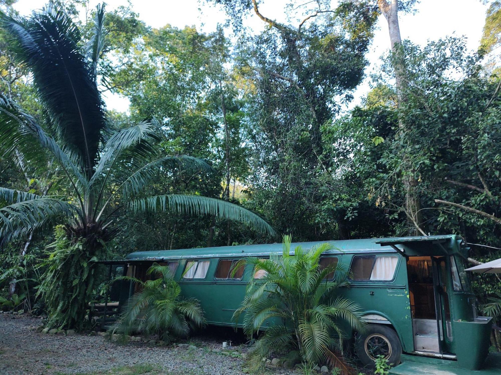 Cool Waters Jungle Villas Uvita Exterior photo