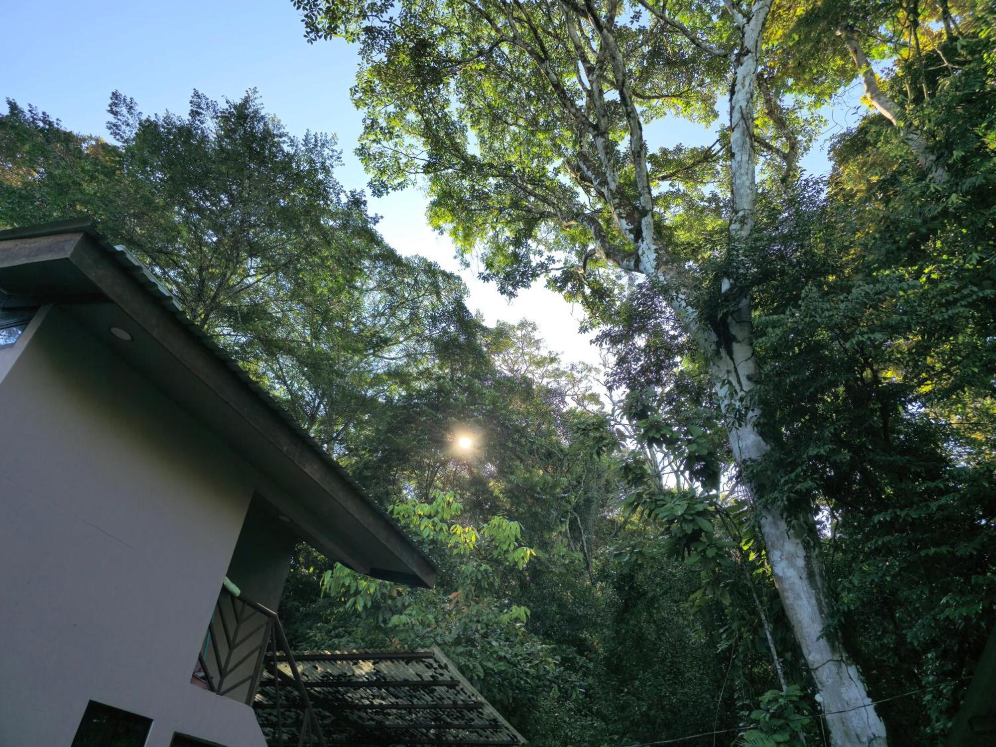 Cool Waters Jungle Villas Uvita Exterior photo