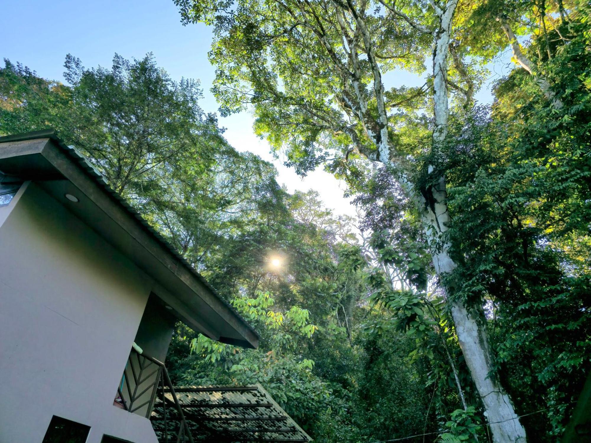 Cool Waters Jungle Villas Uvita Exterior photo