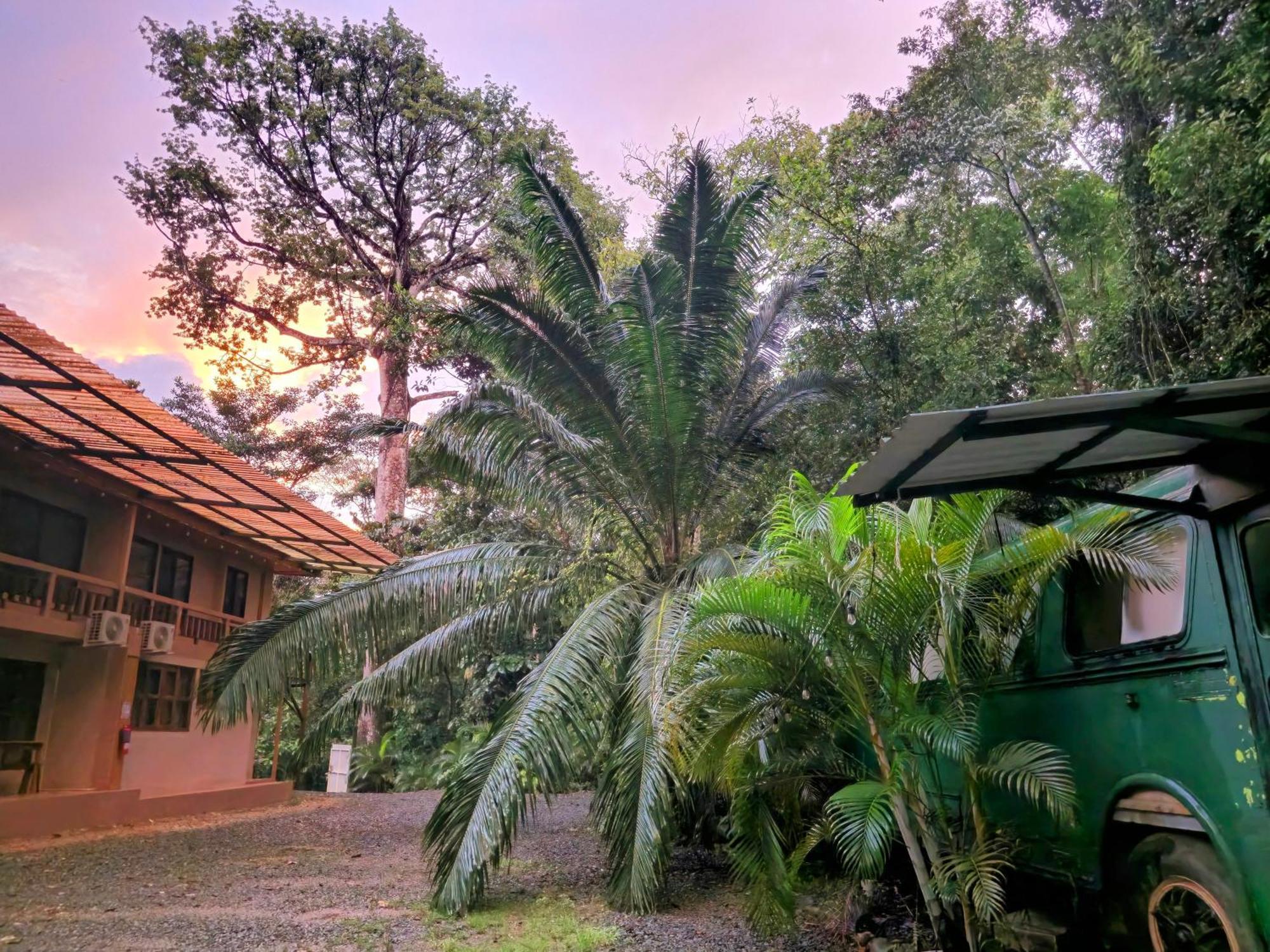 Cool Waters Jungle Villas Uvita Exterior photo