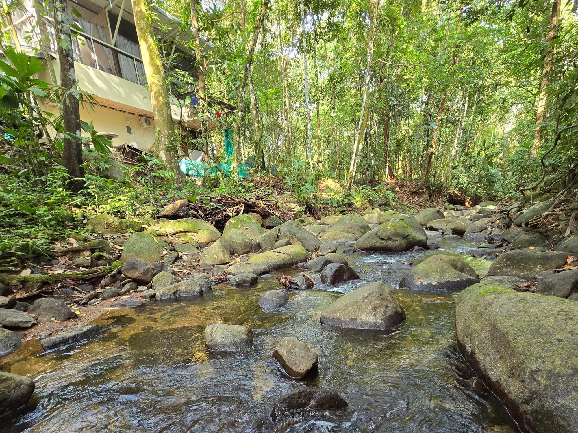 Cool Waters Jungle Villas Uvita Exterior photo